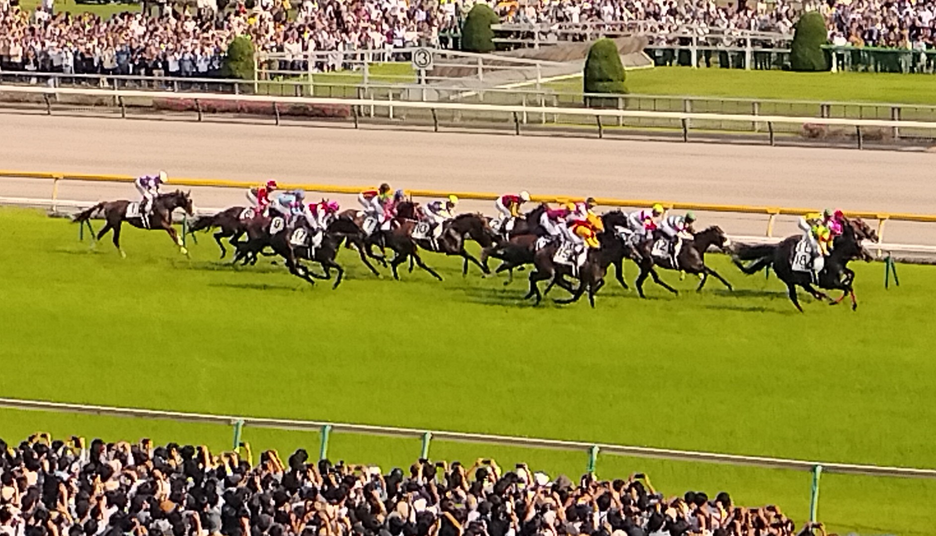 競馬レース中写真