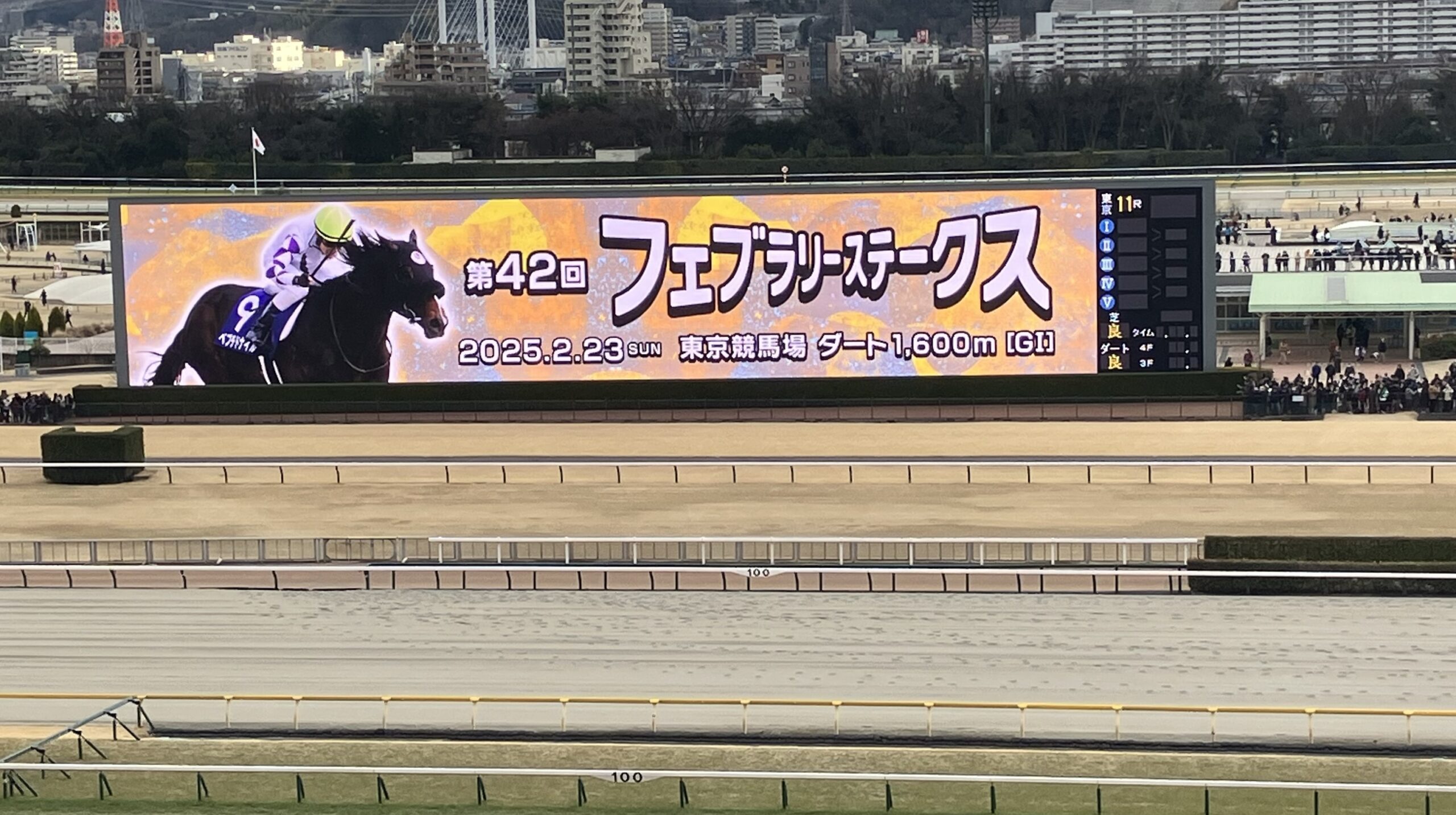 フェブラリーSのサムネール